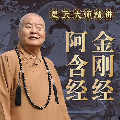 星云大师原音亲授《金刚经》《阿含经》 星云大师原音亲授《金刚经》《阿含经》