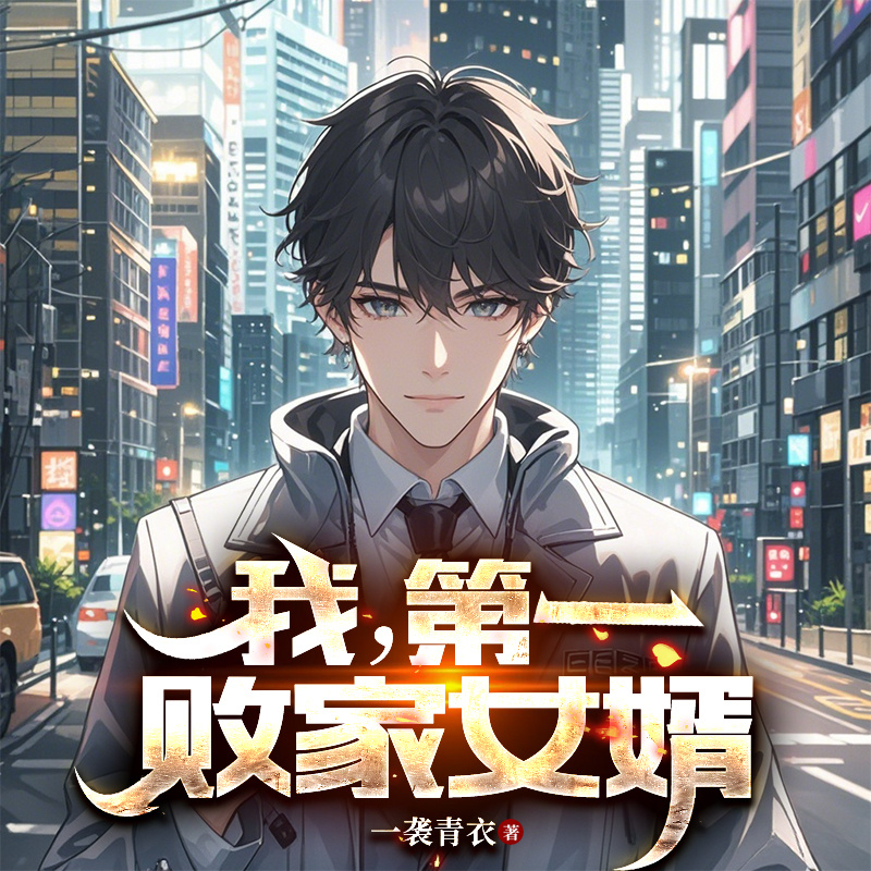 我，第一败家女婿