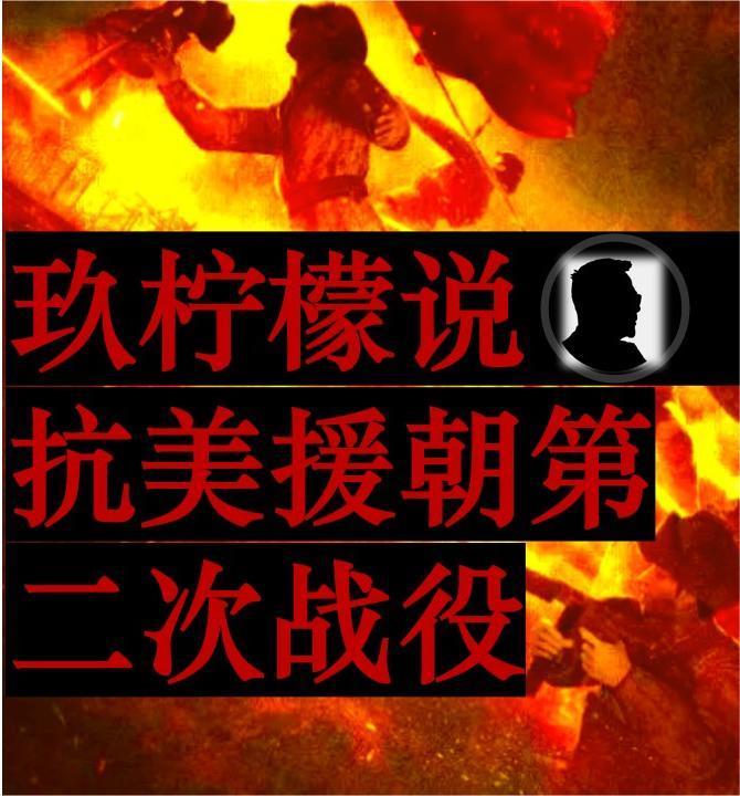 玖柠檬说抗美援朝第二次战役