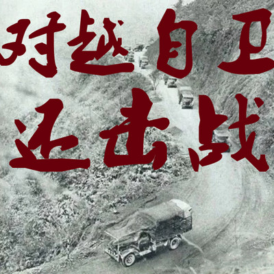 对越自卫还击战【回忆录】