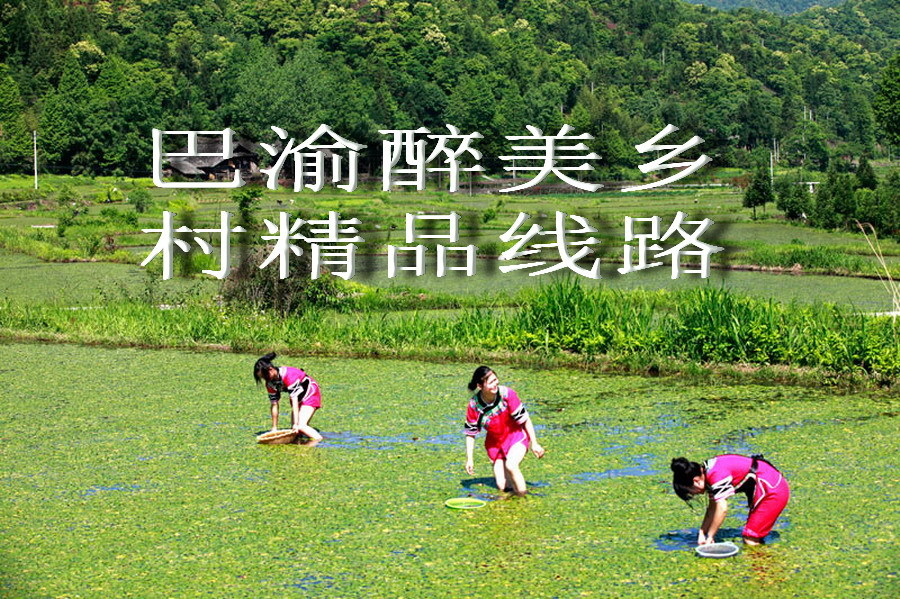 巴渝醉美乡村精品线路