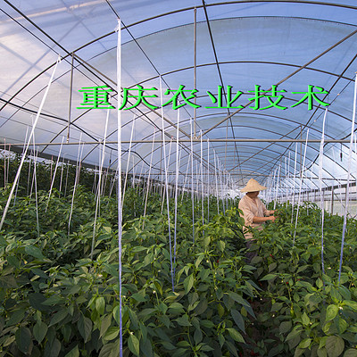 重庆农业技术