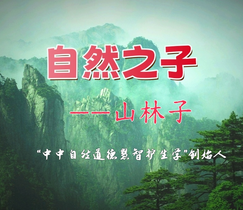 自然之子--中中自然道德慧智护生山林子