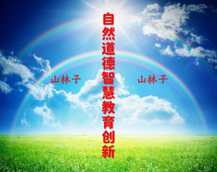 《山林子自然道德智慧自主创新思维》鹤清