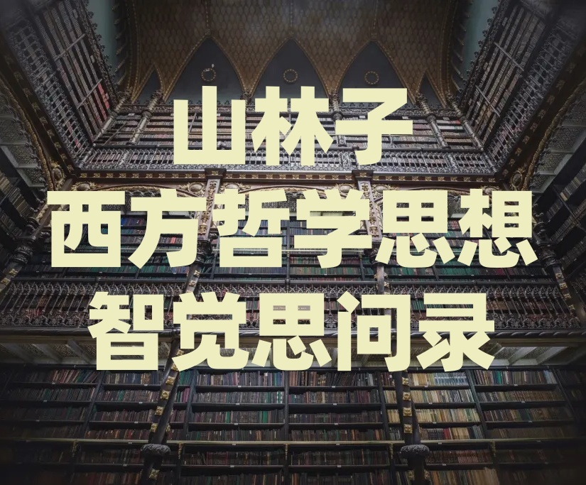 《山林子西方哲学思想智觉思问录》鹤清