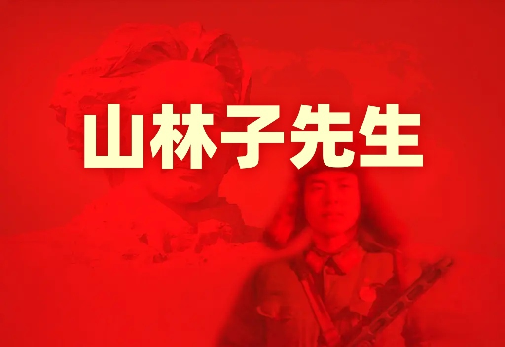 《山林子先生简介》鹤清智慧教育工作室
