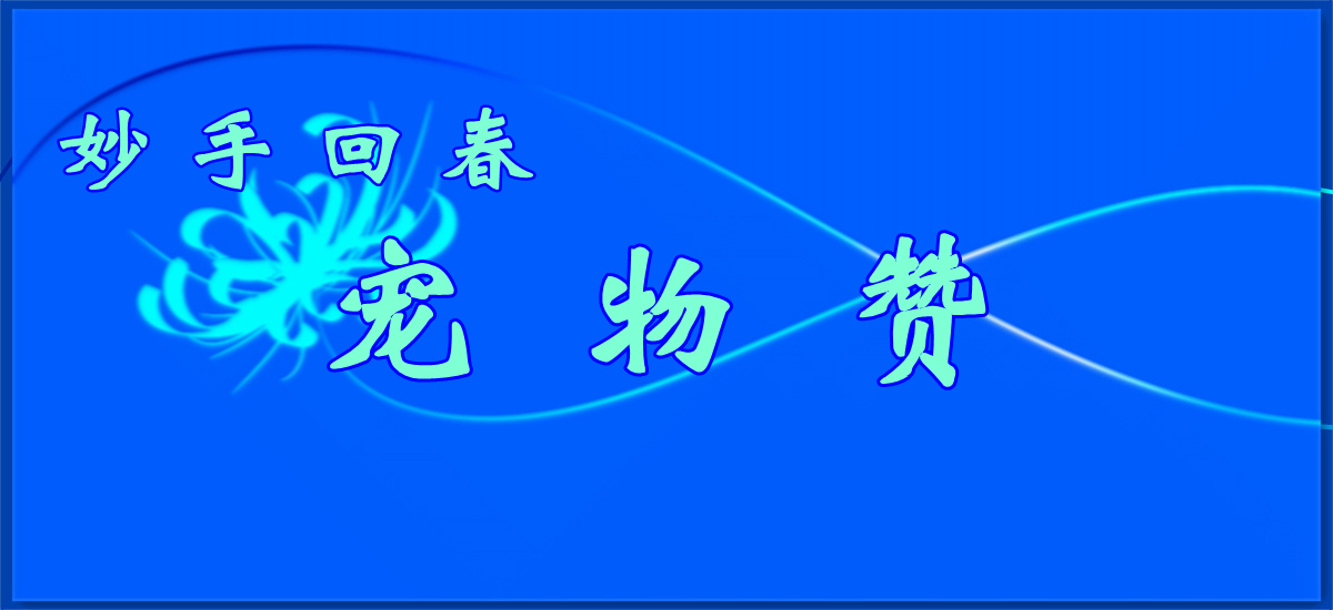 妙手回春2023