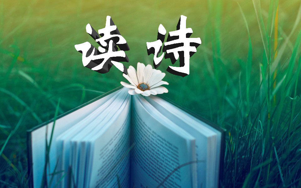 读诗 心灵之旅