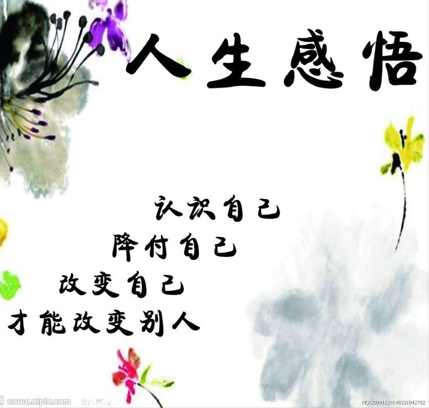 人生感悟