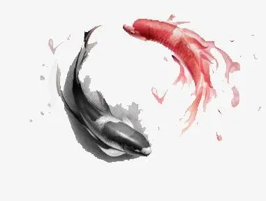 传易堂易经讲堂（初级篇）