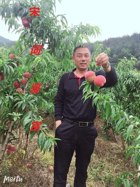 宋词鉴赏