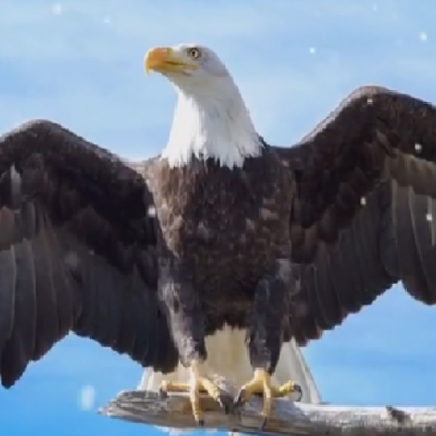 励志人生，点燃了你的梦想