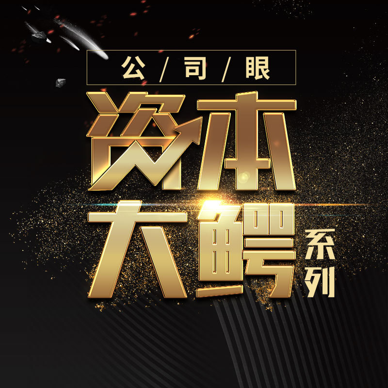 公司眼资本大鳄系列
