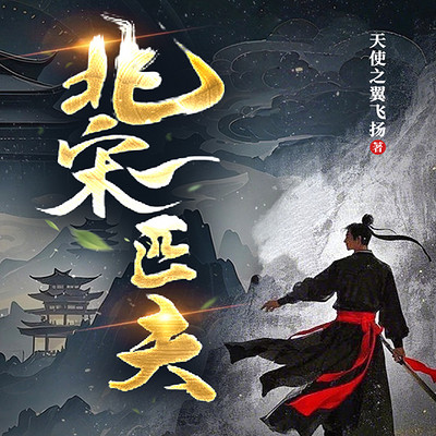 北宋一匹夫 北宋一匹夫