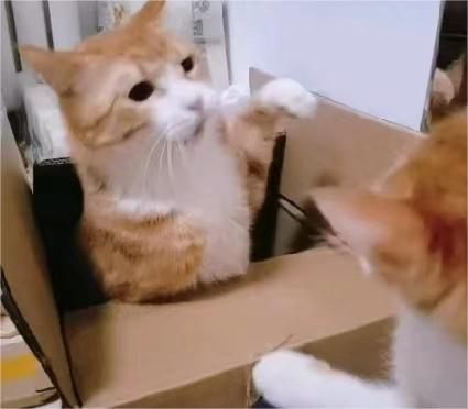 三册单词