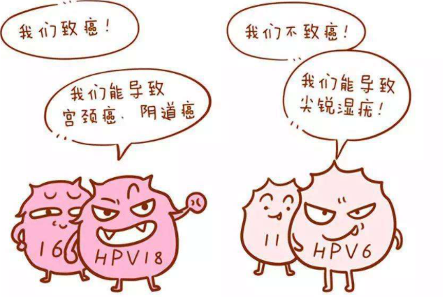 南京圣贝