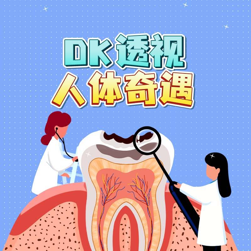 DK透视人体奇遇