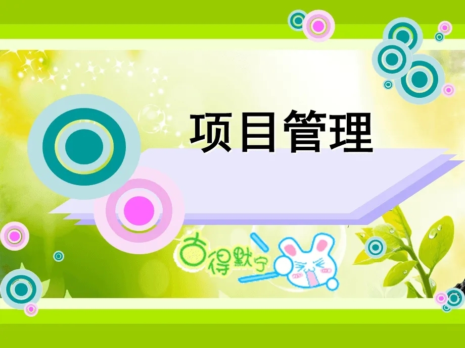 项目管理