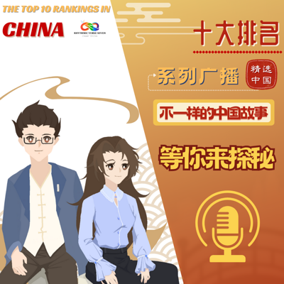 十大排名系列
