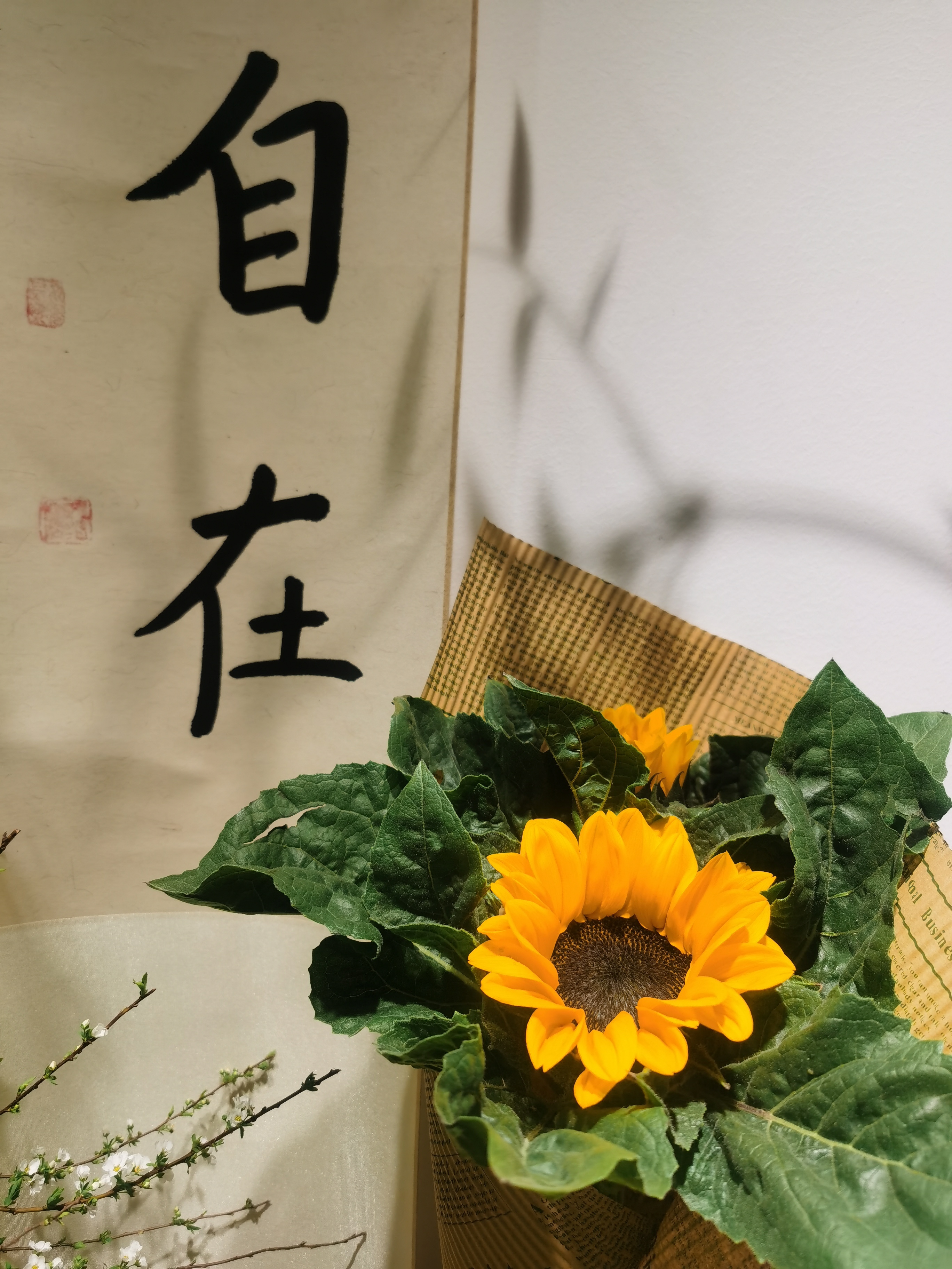 《道德经》纯版