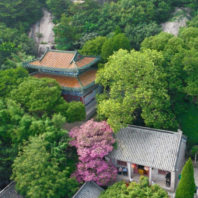 票联蜻蜓故事