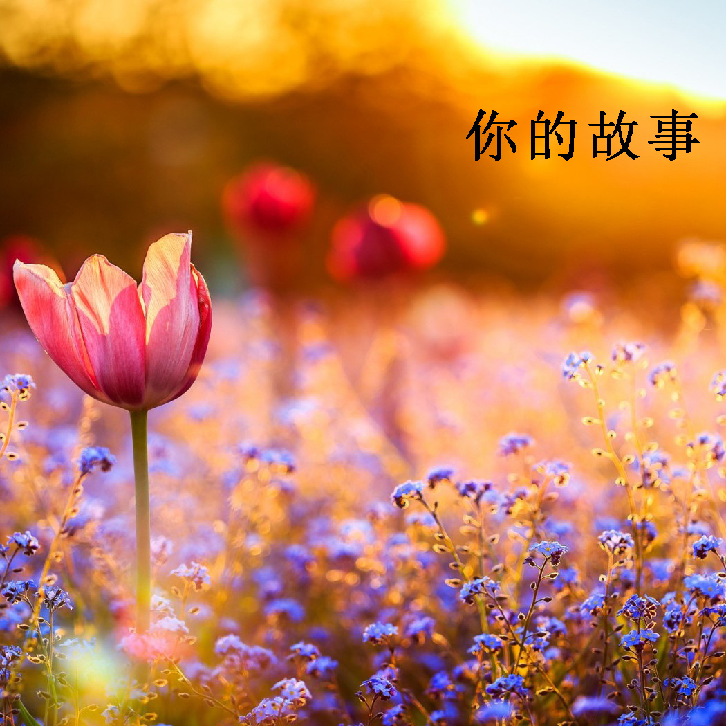 你的故事