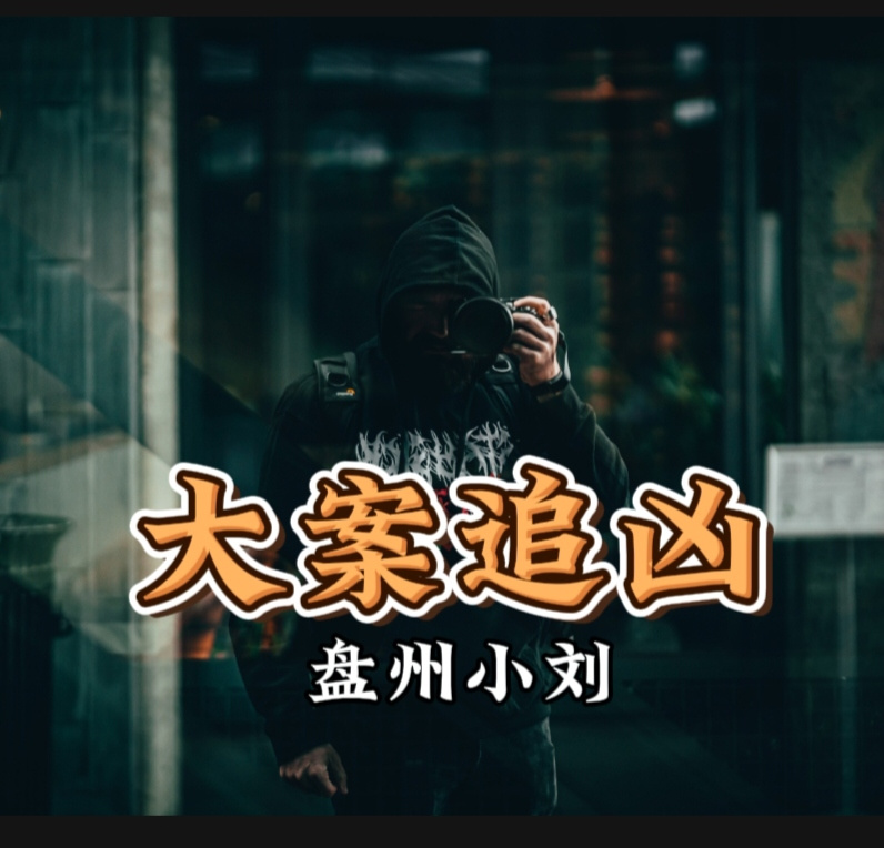 大案纪实之难逃法网