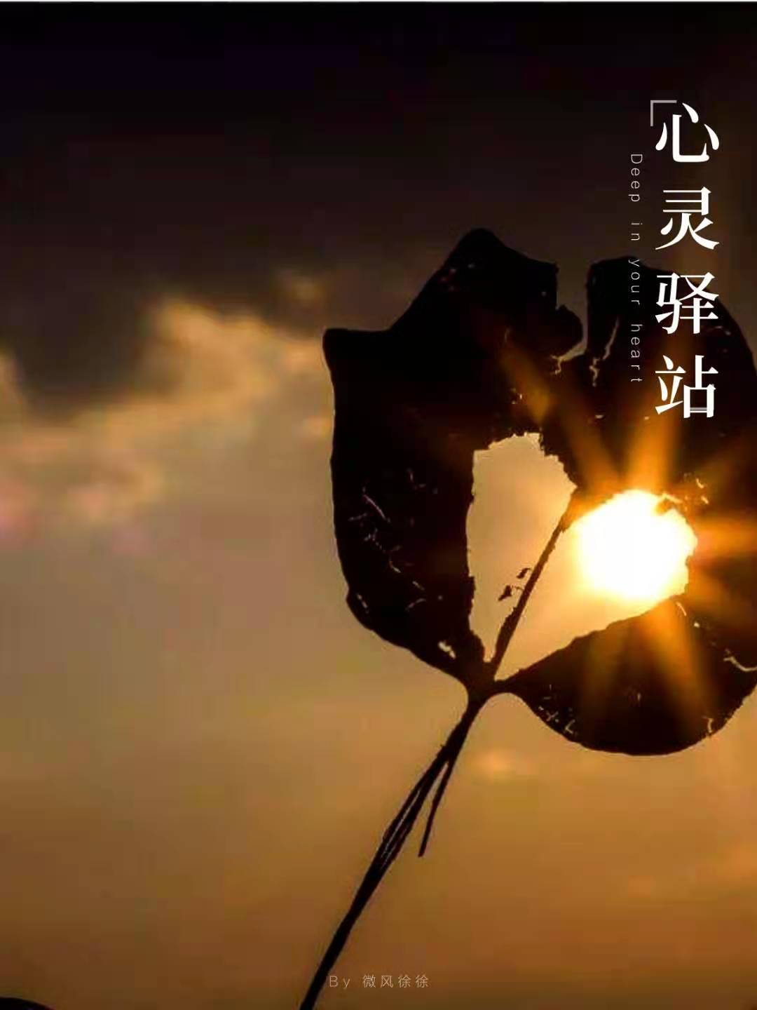 心灵驿站-一起读徐志摩