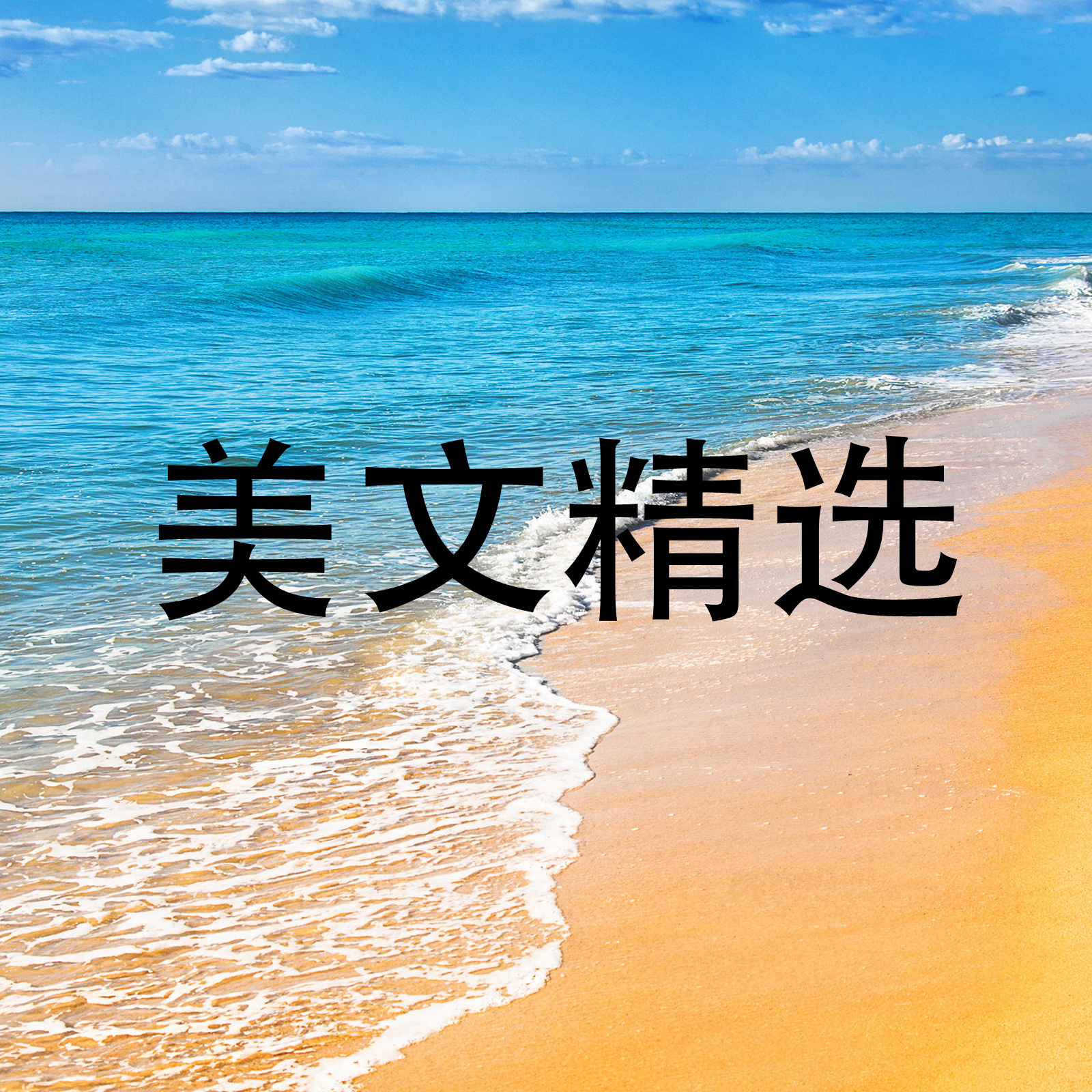 美文精选
