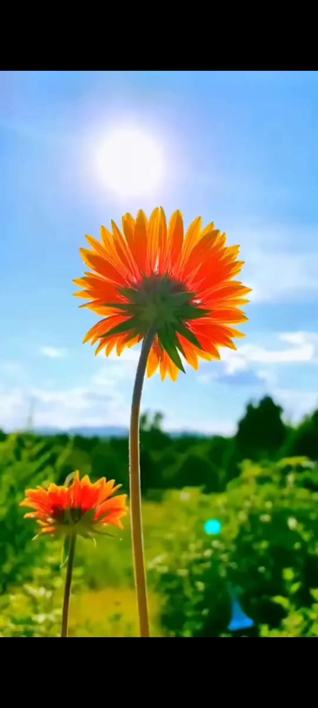 慢慢生活，慢慢听