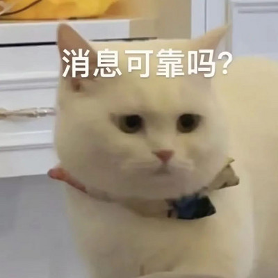 今天玩了什么？