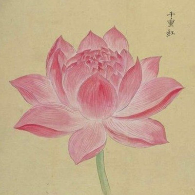 禅悦