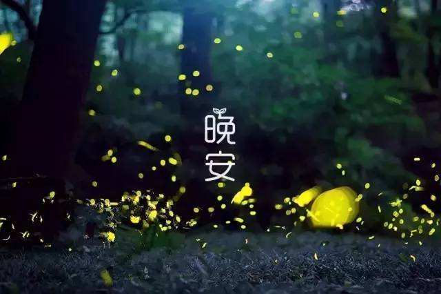 闵某人电台