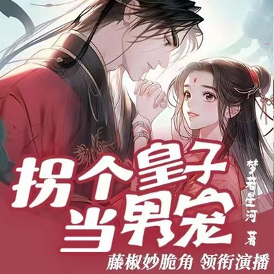 拐个皇子当男宠 拐个皇子当男宠
