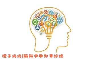 橙子妈妈/脑科学助你带好娃