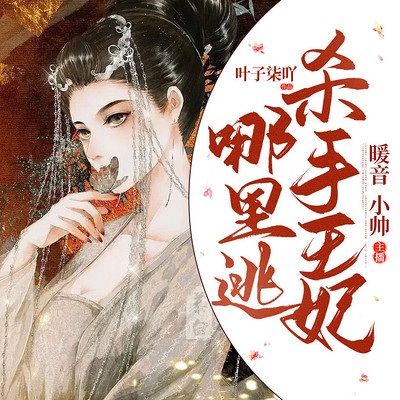 杀手王妃哪里逃 杀手王妃哪里逃