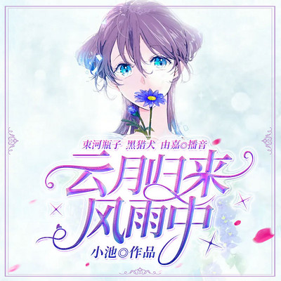 云月归来风雨中 云月归来风雨中