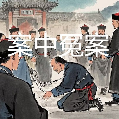 《案中冤案》