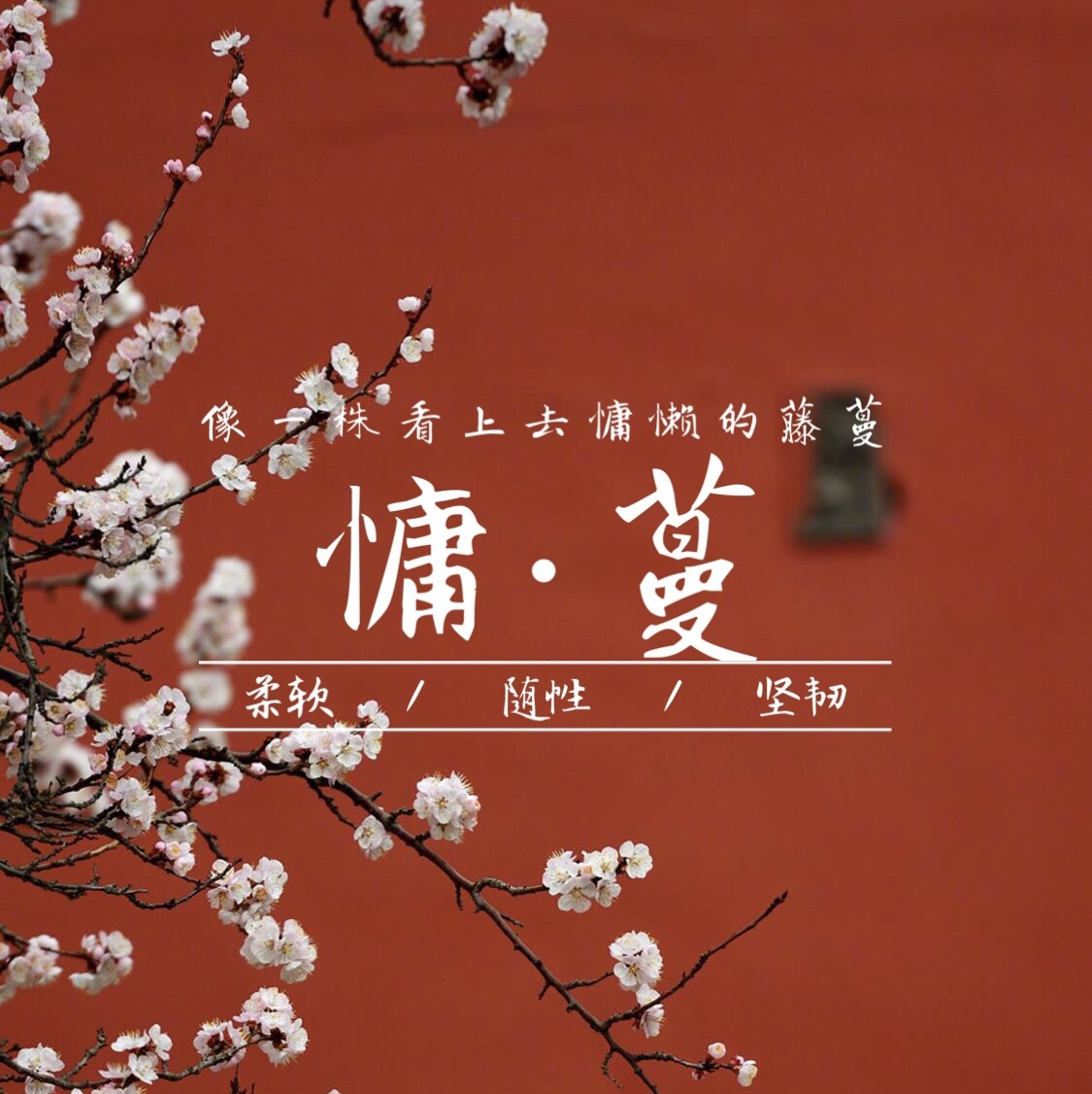 慵·蔓