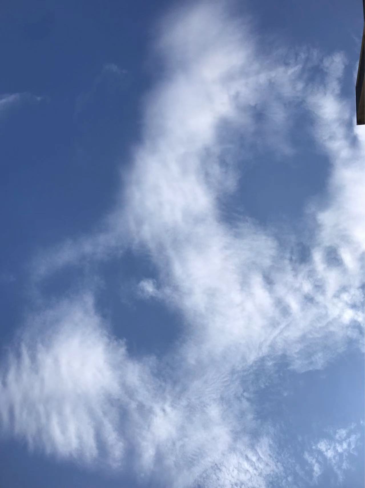 你是孩子的第一任老师