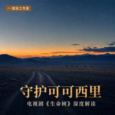 守护可可西里:藏羚羊与无人区守护三十年 守护可可西里:藏羚羊与无人区守护三十年