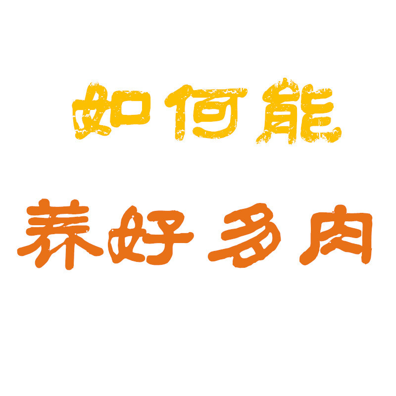 如何能养好多肉