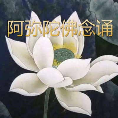 阿弥陀佛 佛号 念诵