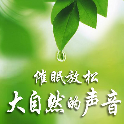 大自然声音【玩库出品】 大自然声音【玩库出品】