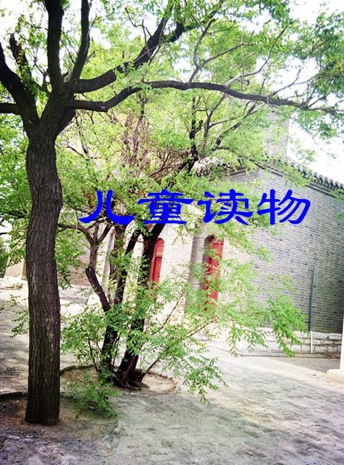 儿童读物