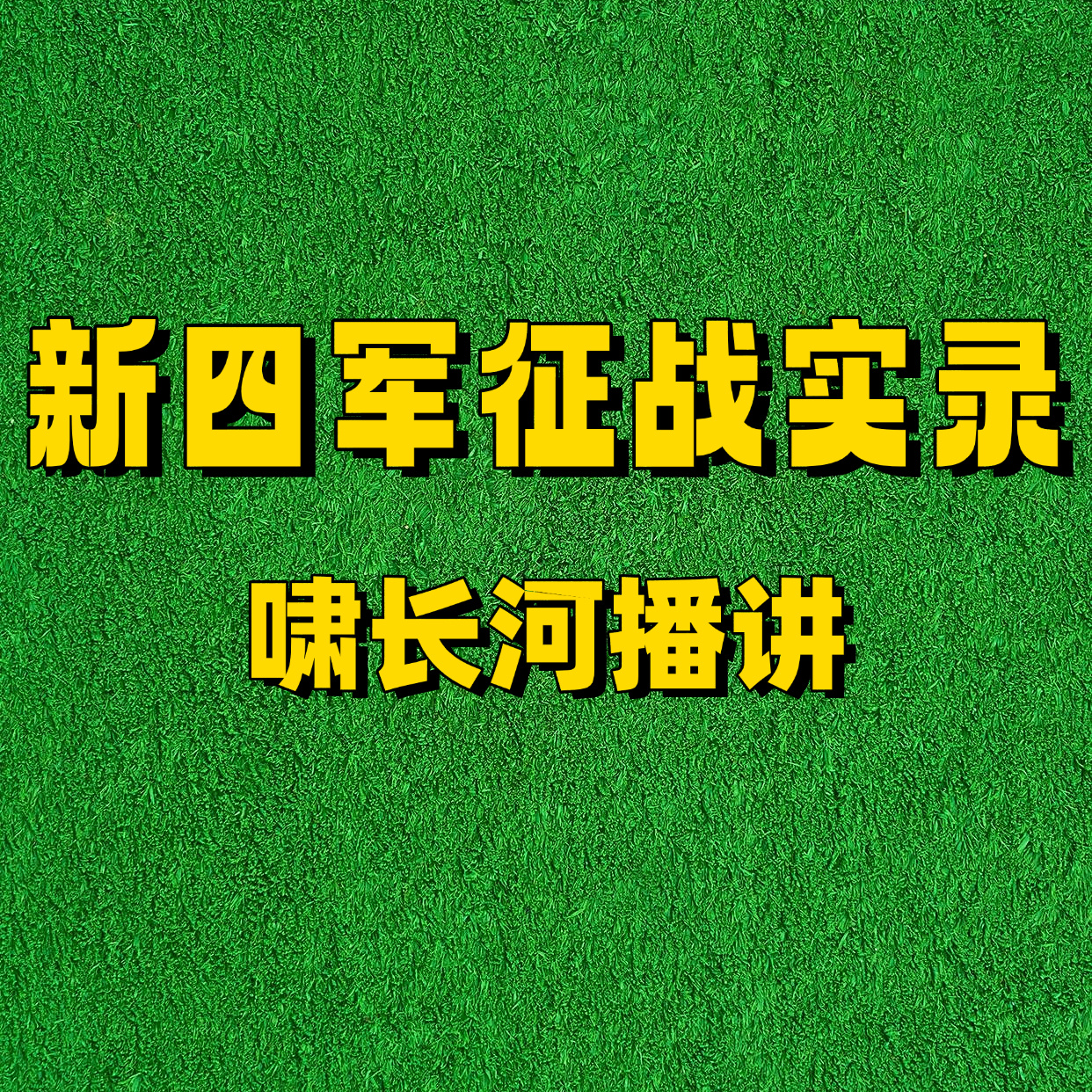新四军征战实录