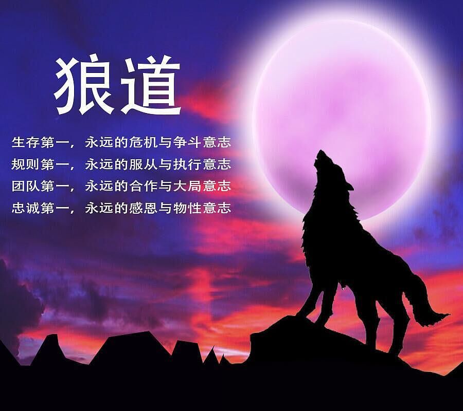 狼道生存智慧