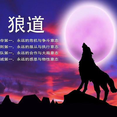 狼道生存智慧 狼道生存智慧