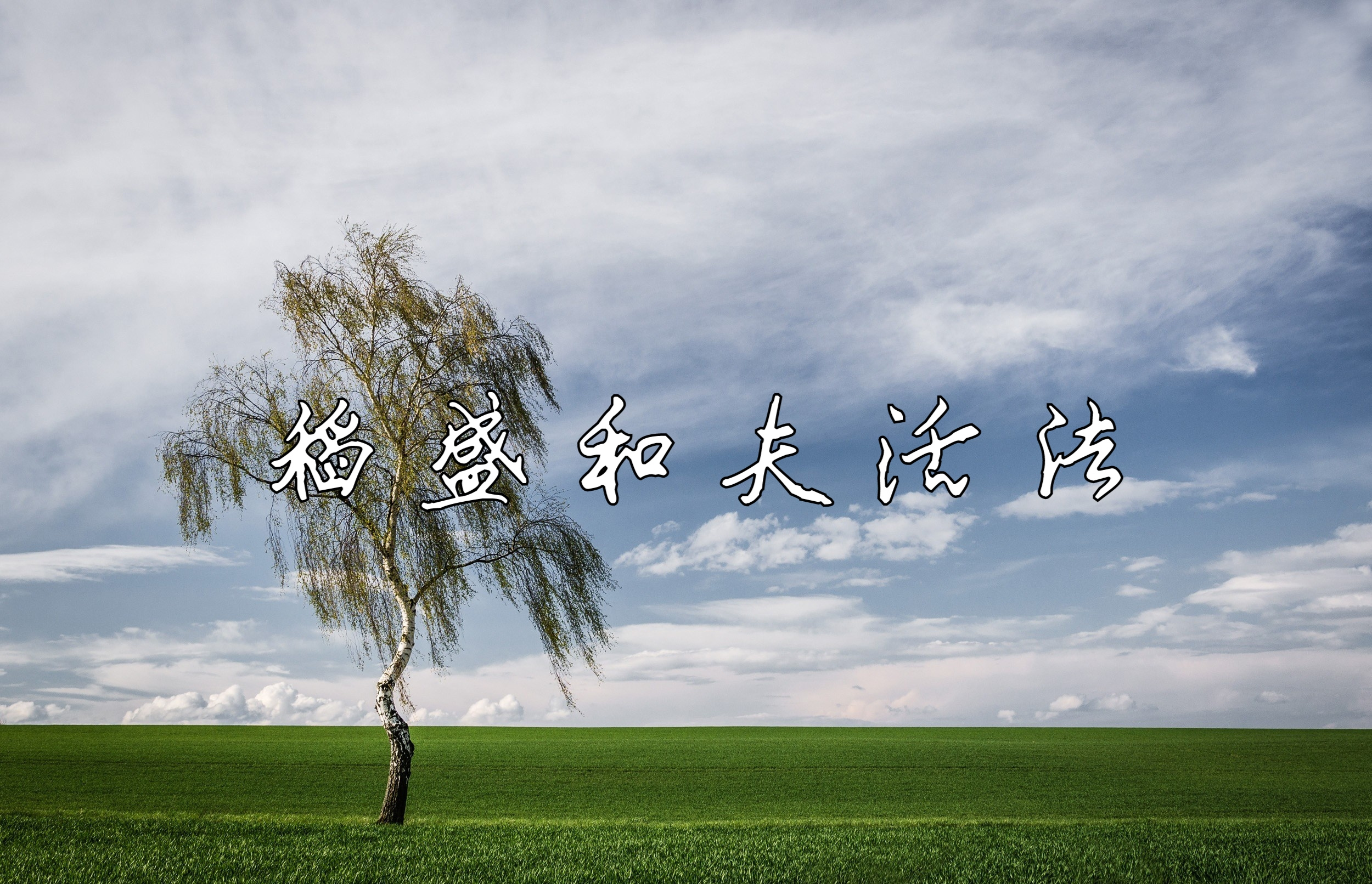 稻盛和夫传