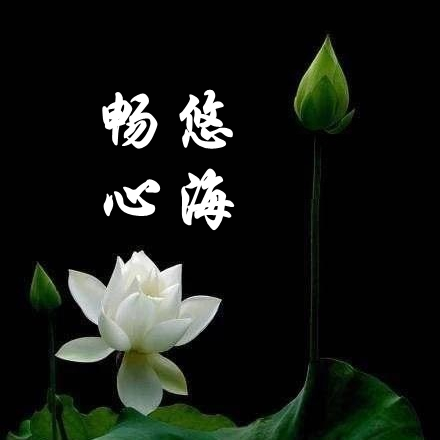 畅悠心海